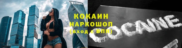 дживик Володарск